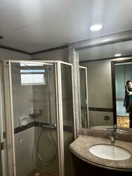 Trellis Towers (D12), Condominium #464456751